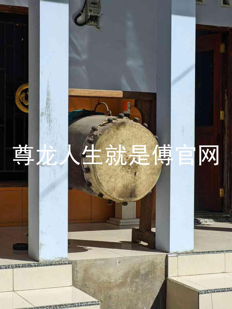 尊龙人生就是傅官网