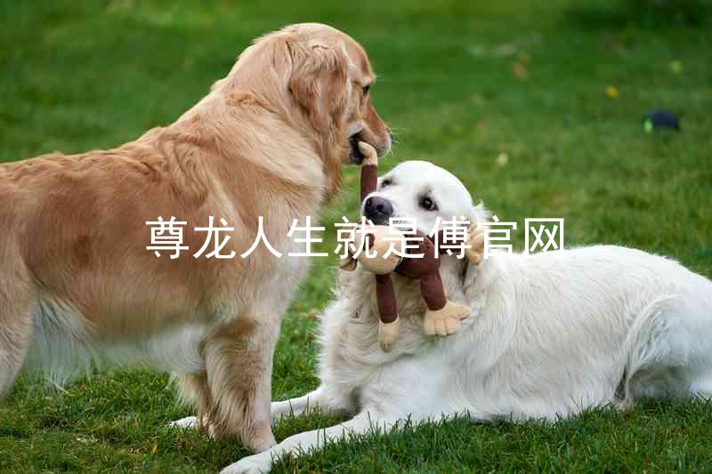 尊龙人生就是傅官网
