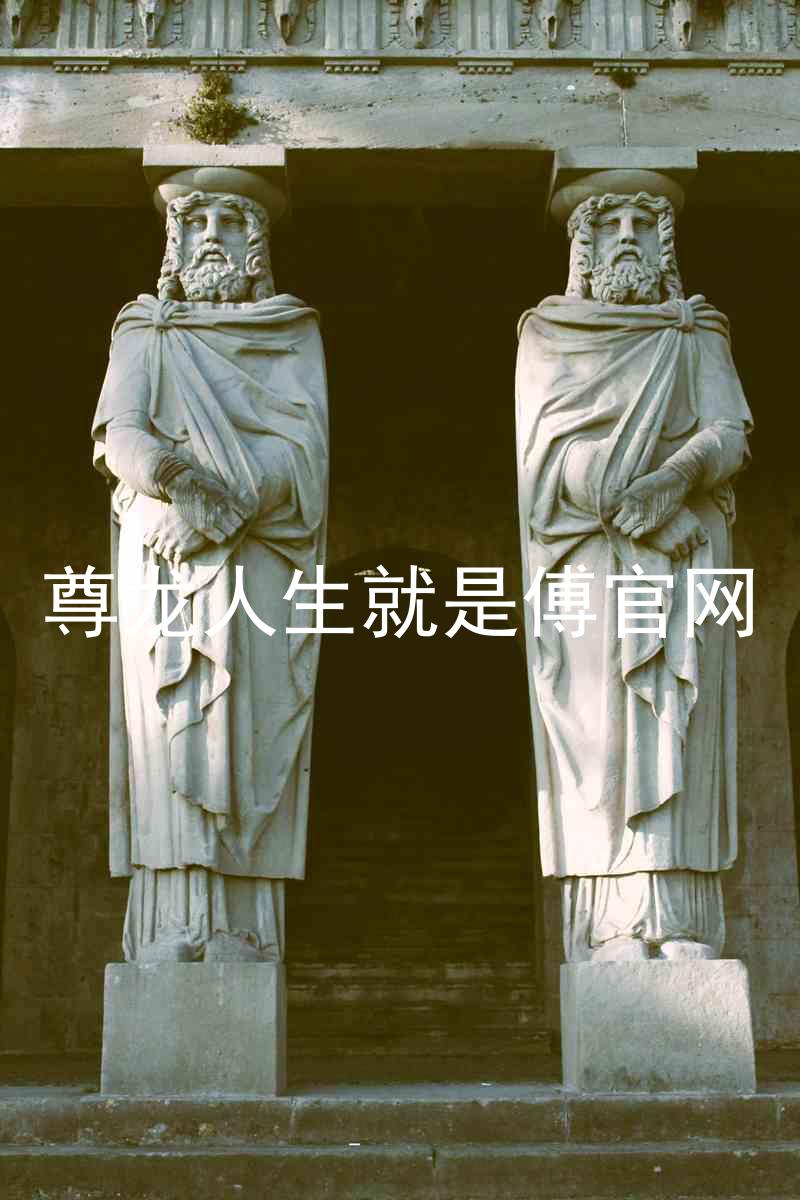 尊龙人生就是傅官网
