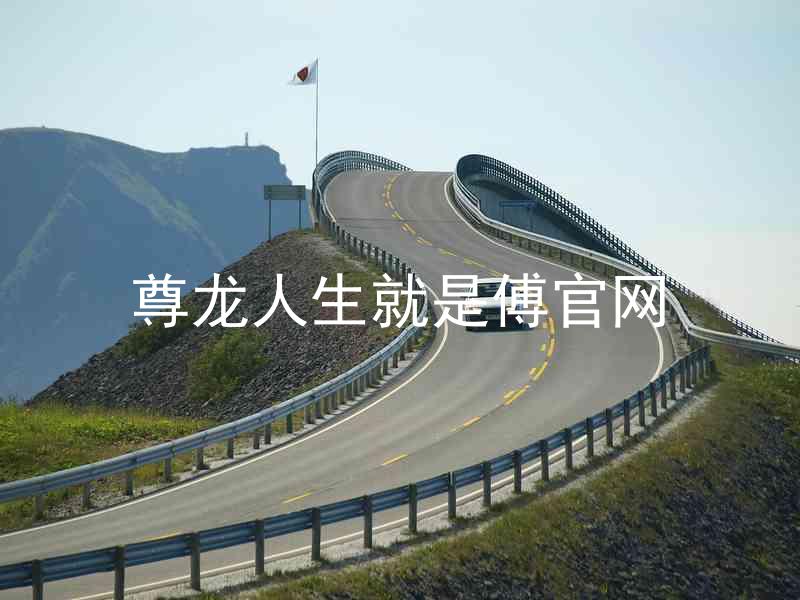 尊龙人生就是傅官网