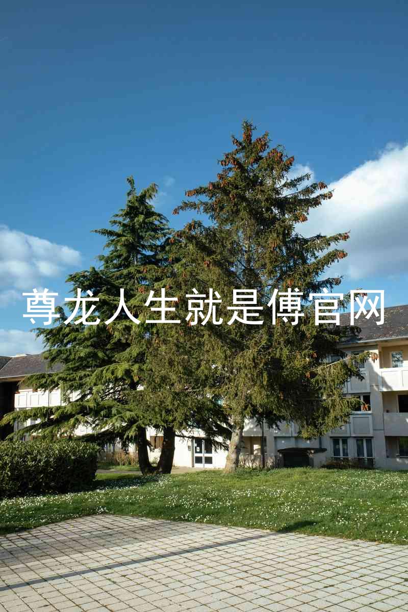 尊龙人生就是傅官网