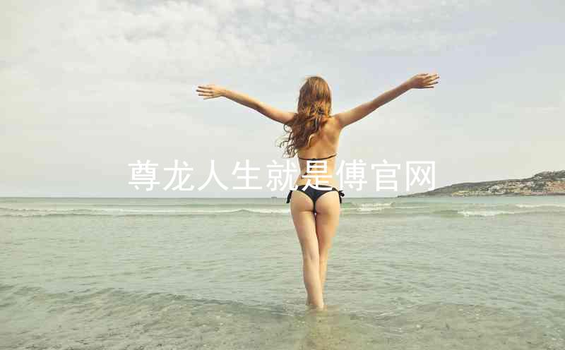 尊龙人生就是傅官网