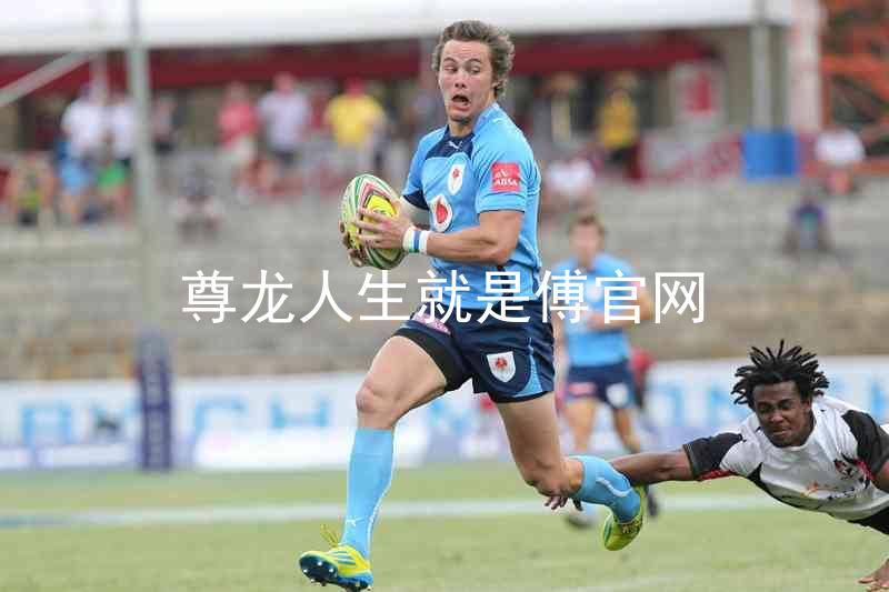 尊龙人生就是傅官网