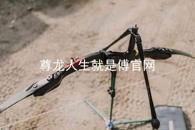 尊龙人生就是傅官网
