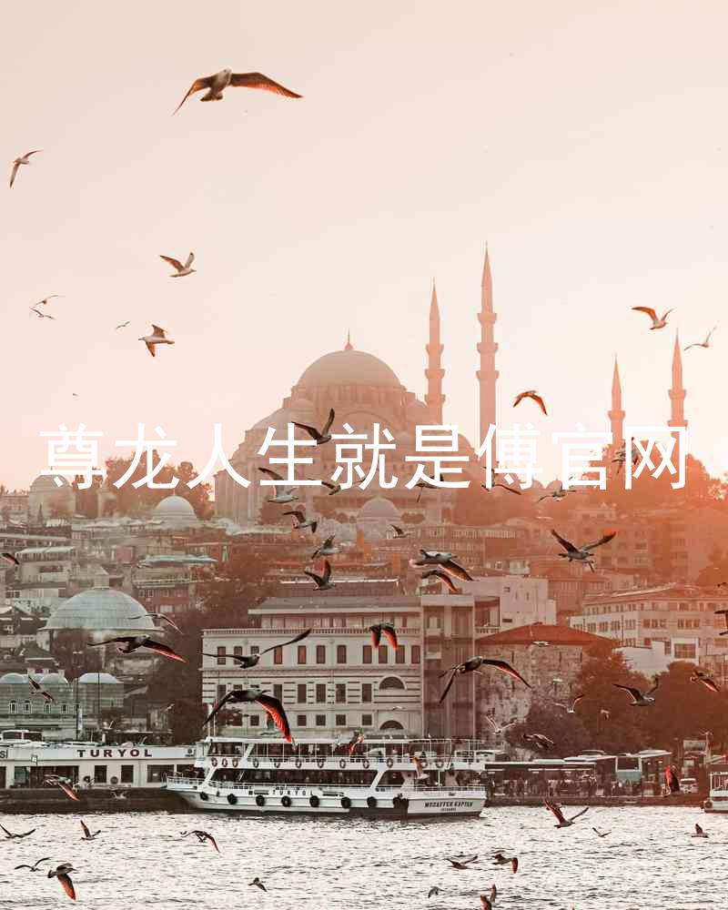 尊龙人生就是傅官网
