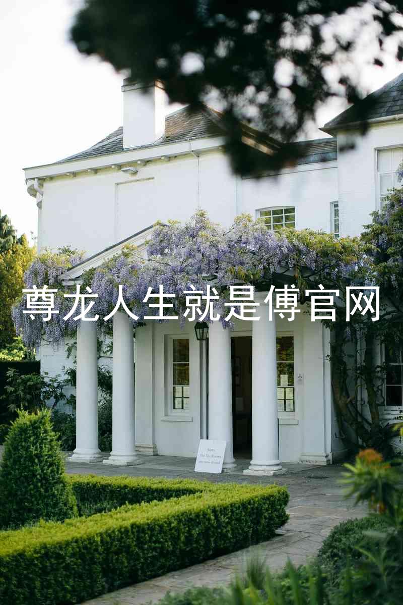 尊龙人生就是傅官网